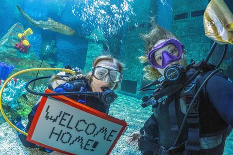 Divers welcome guests and fish back to Deep Sea Adventure